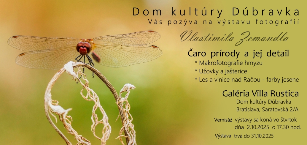 pre_web_dk-dubravka_format-1035-x-488-px.jpg